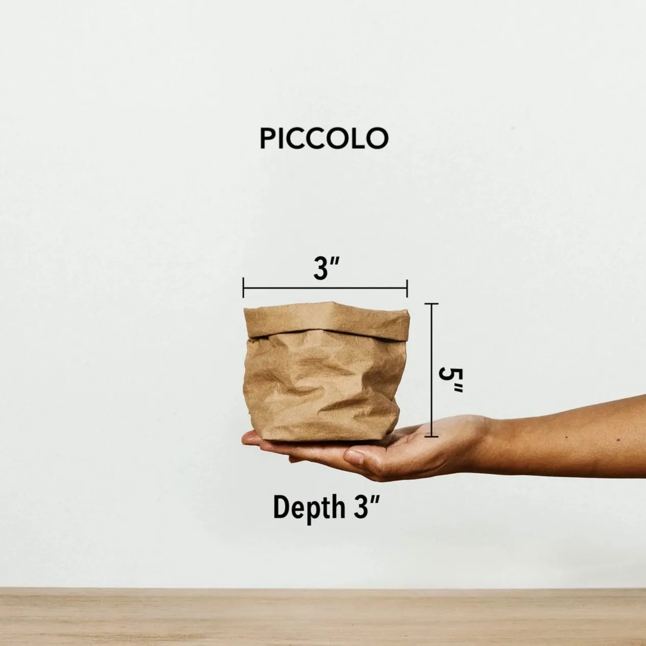 Paper Bag : Metallic - Platino