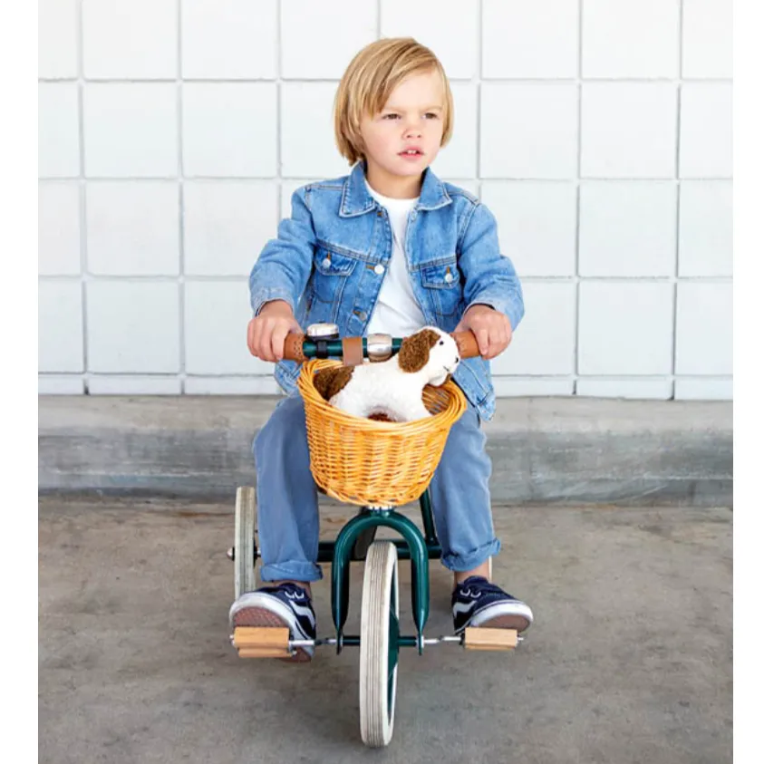 TRICYCLE